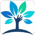 小树学堂app下载